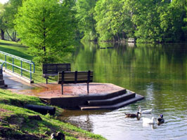 Area Parks