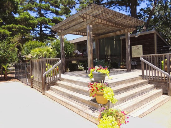 Aspen apartment gazebo  in Shreveport LA
