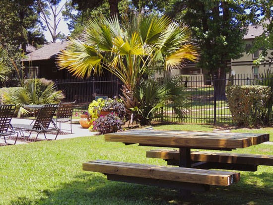 Season-Apartments-bossier-city-picnic-table
