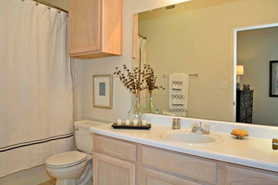 Riverwalk light wood model bathroom with lots of counter space, large mirror