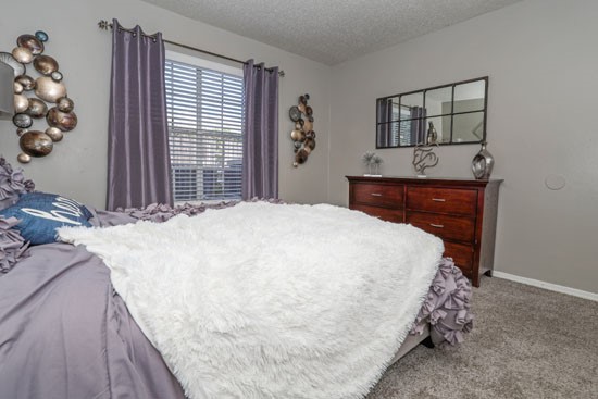 Oasis-Apartments-Model-Bedroom1-window