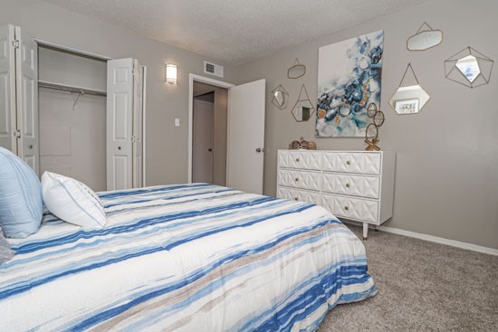 Oasis-Apartments-Model-Bedroom2-closet1