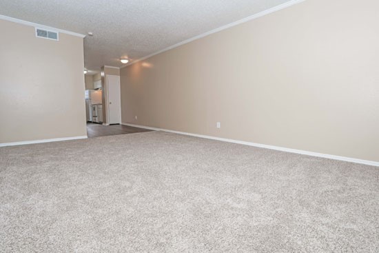 Creole Shreveport Apartment living space