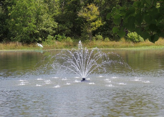 Lake Front Apartments Foutain