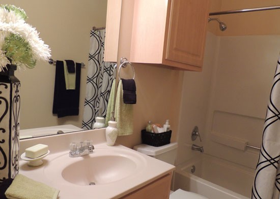 Lexington Place Apartments Bathroom