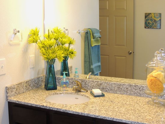 Lexington Place Apartments Bath