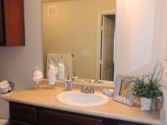 Springridge Apartments of big model bathroom with large counter space and storage underneath