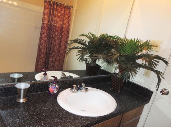 Tree Tops Apartments black top counter model bathroom with big mirror