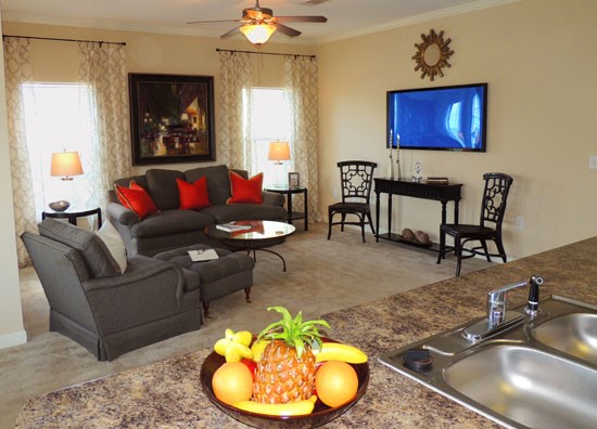 Reflections of Island Park Apartments Living Room
