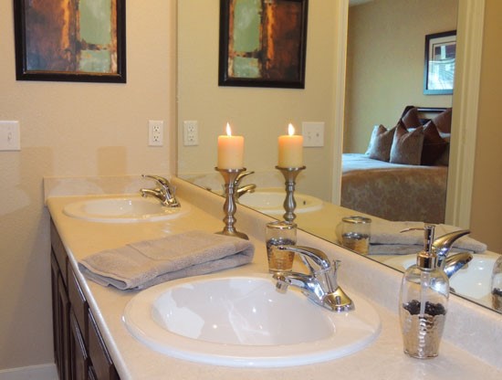 Reflections of Island Park Apartments Bathroom