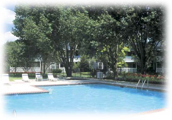 Pier Landing Apartments pool side view of pool with lounge chairs and trees and fence